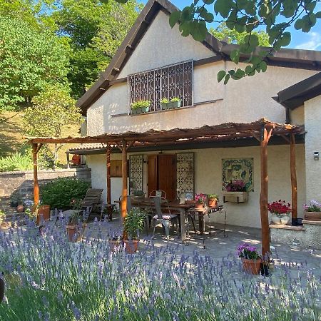 Bed and Breakfast La Colombaia Amiata Arcidosso Zewnętrze zdjęcie