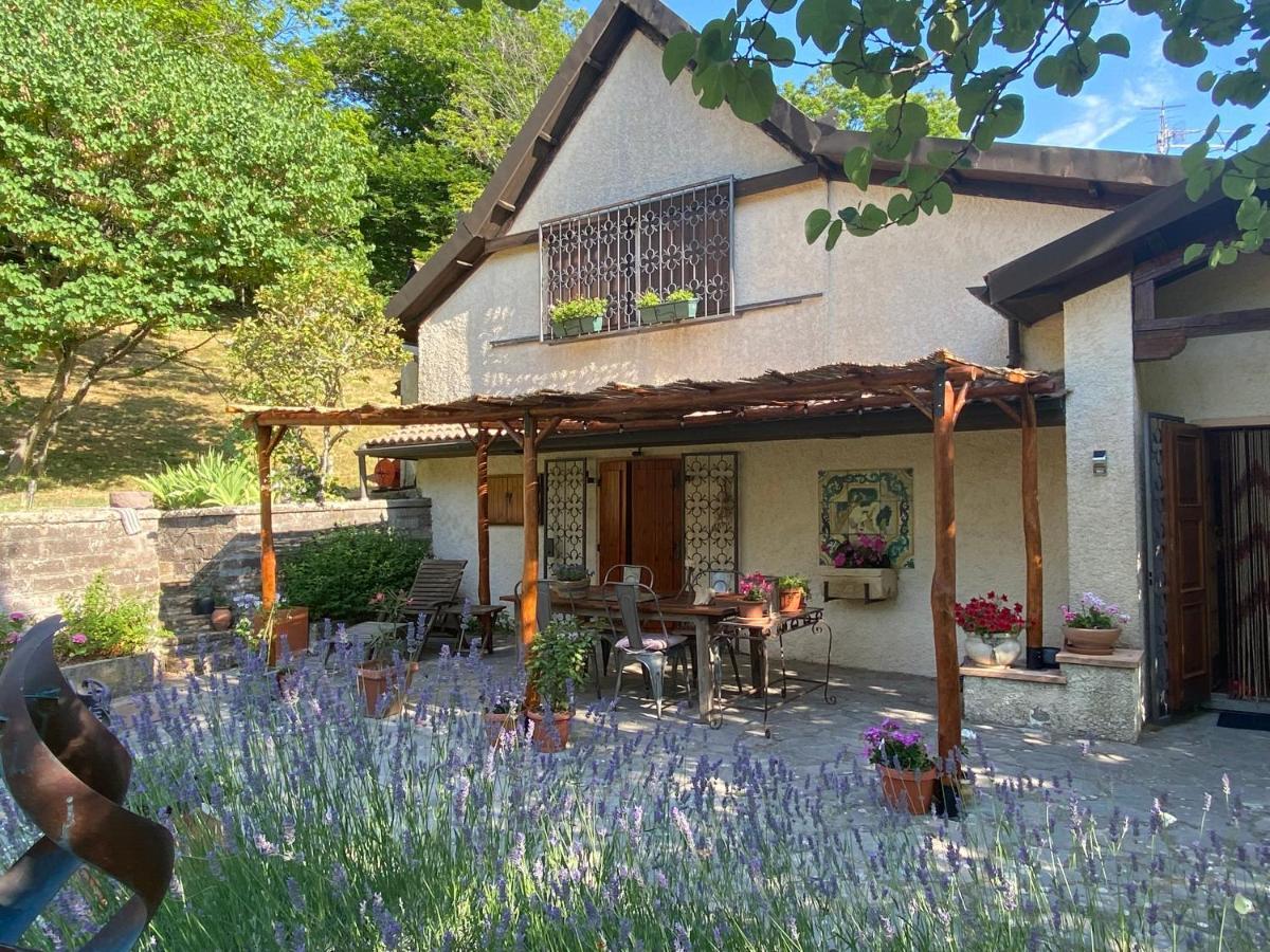 Bed and Breakfast La Colombaia Amiata Arcidosso Zewnętrze zdjęcie