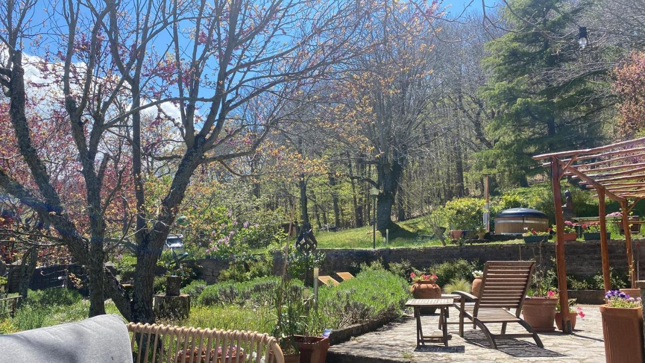 Bed and Breakfast La Colombaia Amiata Arcidosso Zewnętrze zdjęcie