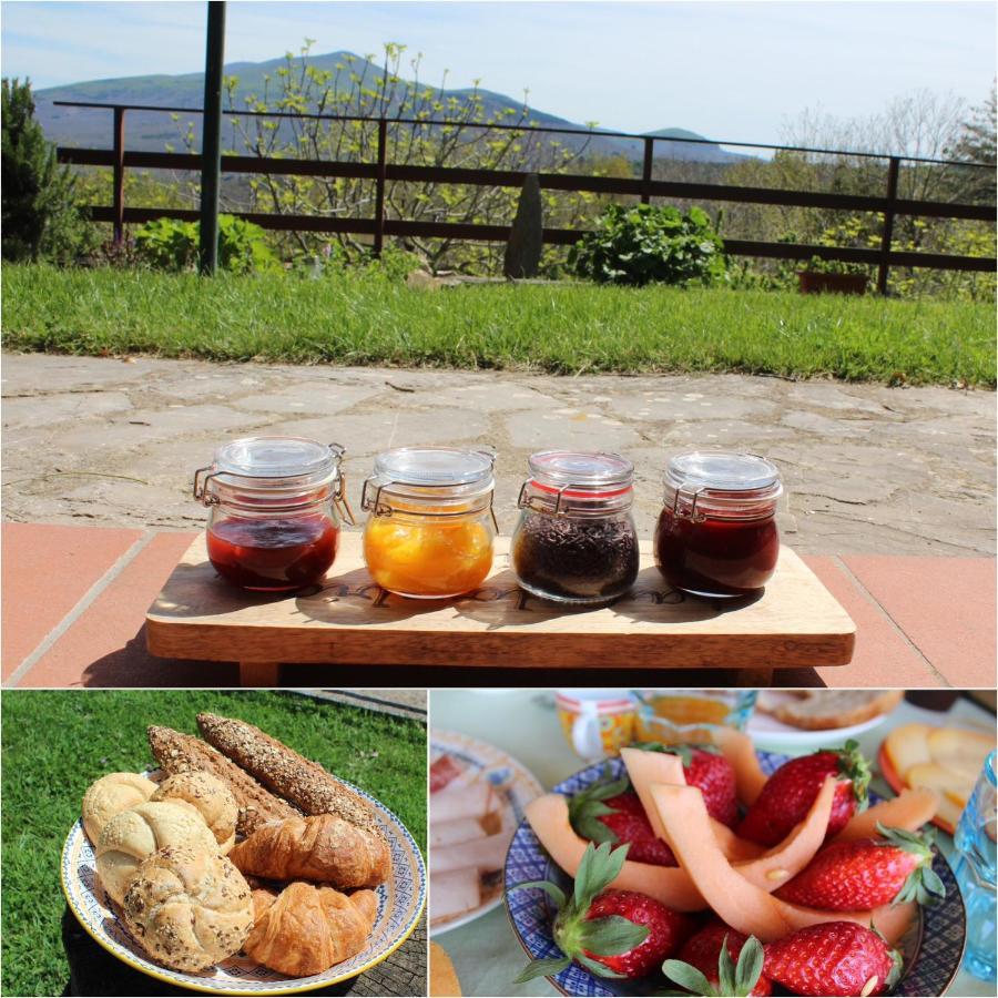Bed and Breakfast La Colombaia Amiata Arcidosso Zewnętrze zdjęcie